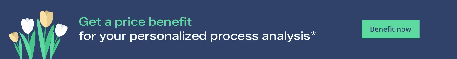 Spring exlusive Website Banner FlexiFlow Spring exlusive "Get a price benefit for your personalized process analysis*"
